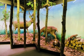 museum dhistoire naturelle blois 8-2025 2295